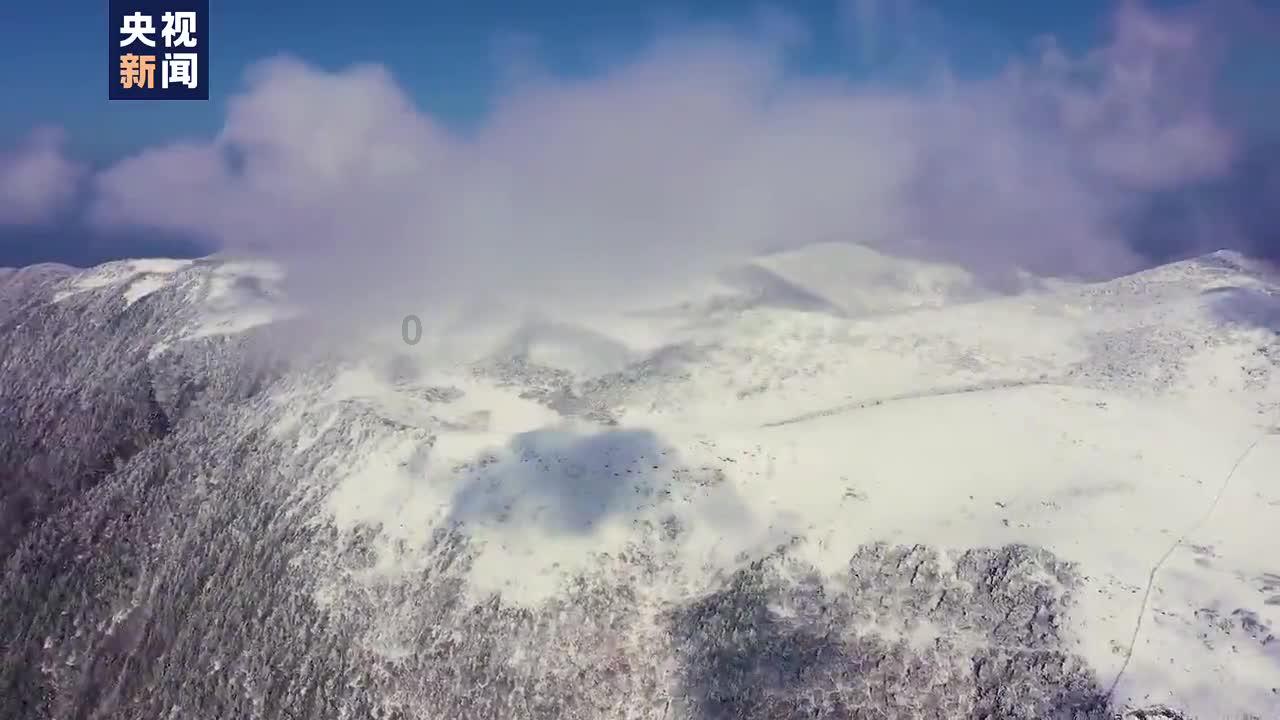 死亡细胞